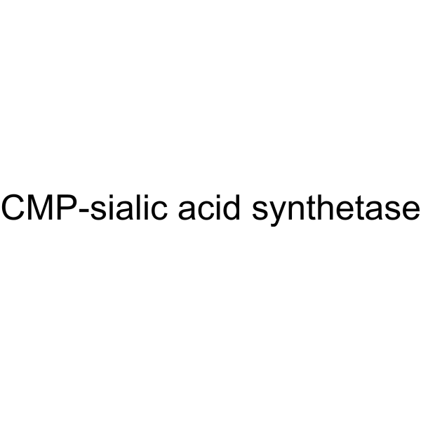 CMP-sialic acid synthetase (NmCSS) 9067-82-7